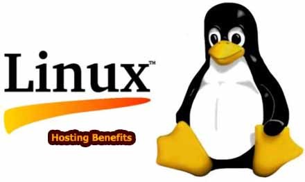 Advantages and disadvantages of Linux web hosting 1
